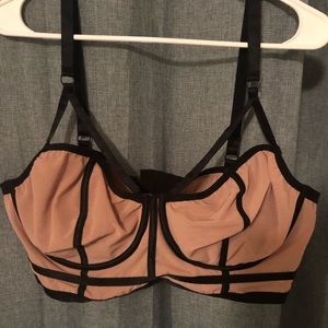 Torrid Bra Size 3